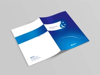 專業(yè)設(shè)計(jì)服務(wù) 從網(wǎng)站到圖文的全面解決方案